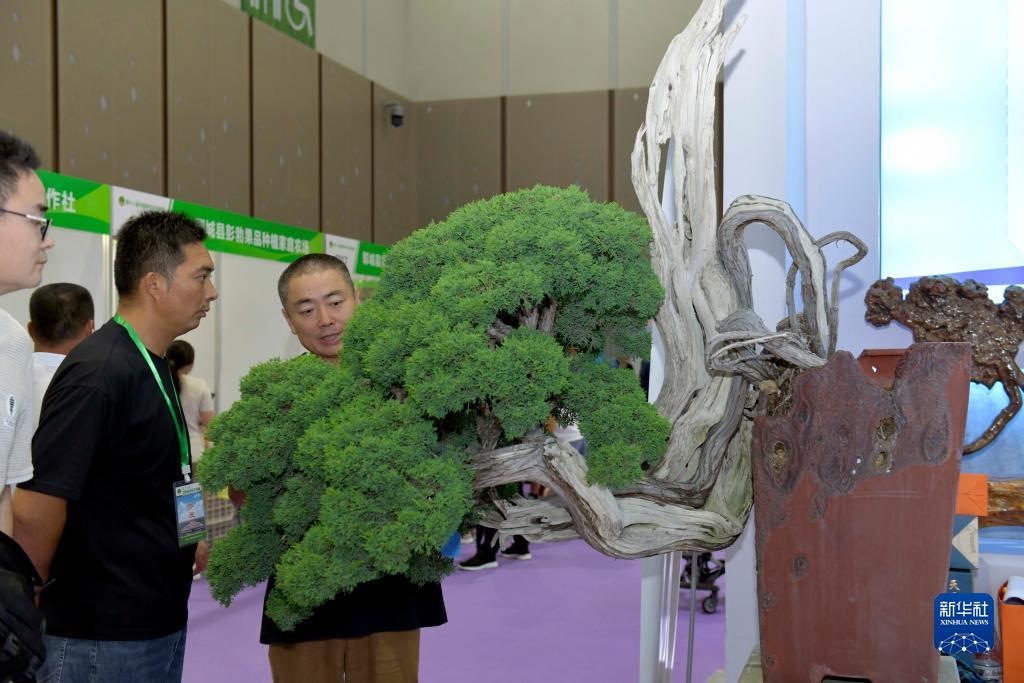 提现游戏软件